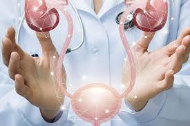 Urology - Dr Hapreet Singh Jolly