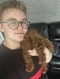 Hi, I was wondering what name i looked like. I have a few in mind. I have  August, Caden, Noah, Olly, Owen, Sawyer, Sebastian, Tate, Tatum and Xavier.  I'm currently going by