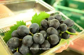 Kc kwang & sons (or twin diamond plantation) is a grape and tomato farm in kampung raja, nestled on 60 hectares of land. Kwang S Grape Tomato Farm Cameron Highlands Malaysia Always Travelicious