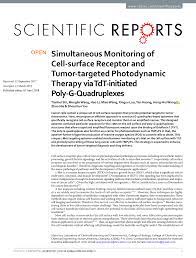 PDF) Simultaneous Monitoring of Cell-surface Receptor and Tumor-targeted  Photodynamic Therapy via TdT-initiated Poly-G-Quadruplexes