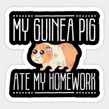 Free and funny confession ecard: My Guinea Pig Ate My Homework Funny Joke Pun My Guinea Pig Homework Funny Student Sticker Teepublic