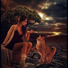 Editing Animal Hill Photography Wallpapers Girls Design Editing Dark Hobby Photo Editing Photography Design