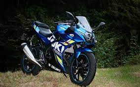浦島ライダーの2輪体験記 スズキ gsx250r は ちょっとズルいんじゃない レスポンス response jp 2020 スズキ スズキgsx ライダー