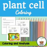Maybe you would like to learn more about one of these? Plant Cell Color Worksheets Teaching Resources Tpt