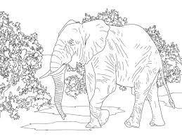 Malvorlagen zur steigerung der konzentration. Ausmalbilder Ausmalbilder Elefanten Zum Ausdrucken Kostenlos Fur Kinder Und Erwachsene