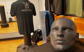 Krav maga experience reveals complexity, control, and blunt effectiveness