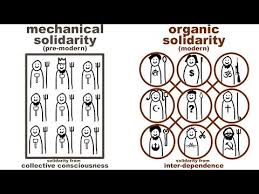 Durkheim S Mechanical And Organic Solidarity What Holds Society Together Sociology Sociological Concepts Solidarity