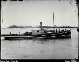 Marian Mayfield' (1883