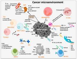 Check spelling or type a new query. Cancer Immunology Wikipedia