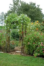 beautiful entrance to a vegetable garden kitchen garden edible garden eat your garden orto urbano kitchengarde idees jardin jardin potager jardin comestible
