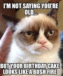 Birthday Cake On Fire Meme You Re Old Birthday Cakes Meme Maker I M Not Saying You Re Old But Your Birthday Cake Looks Katzen Memes Katzenhumor Funny Shit
