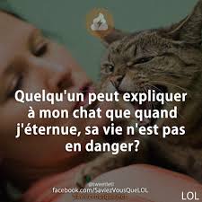 Epingle Par Mama85190 Sur Saviez Vous Que Humour Rire Drole