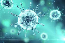 They often result in upper respiratory tract infections (simple colds) in humans, causing mild illnesses usually of short lasting nature with a rhinitis, cough, sore throat, as well as fever. Eahp Covid 19 Resource Centre European Association Of Hospital Pharmacists