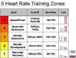 Target Heart Rate For Weight Loss Chart Diet And A Healthy