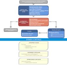 Check spelling or type a new query. Acls Algorithms 2020 Printable Cards Available