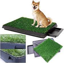 Les passages et tunnels construits par vos petits compagnons ne s'effondrent pas et restent stables. Litiere Pour Chien Guide D Achat Complet Jardingue