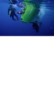 Image result for Deep Sea 2012 HS