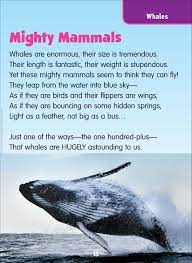 This Poem Teaches Us About Whales Science Mammals Whales From Science Poems Flip Chart By Scholastic Science Poems Whale Kindergarten Poems