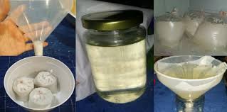 Minyak kelapa dara myvco adalah makanan terbaik untuk ibu hamil, kandungan & bayi. Minyak Kelapa Dara Untuk Ibu Hamil 6 Manfaat Minyak Kelapa Dara Theasianparent Malaysia