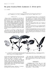 Image result for Tetradenia bainesii