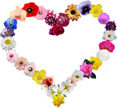 We did not find results for: Download Heartshapes Heart Flowers Shape Flower Png Image With No Background Pngkey Com