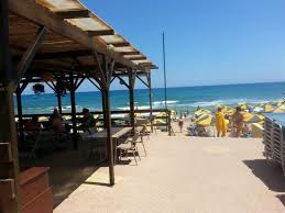 Residing at the north coast of the island, they combine views to the sparkling blue cooling. Strand Terras Picture Of Cactus Royal Spa Resort Crete Tripadvisor
