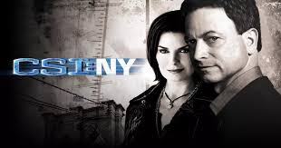 Mac Taylor Csi Ny On Hulu CSI NY: The First Season (DVD), Paramount, Drama