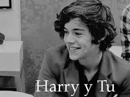 Novelas Harry Styles y Tu (HOT) (@novelashazzastyles) • Facebook