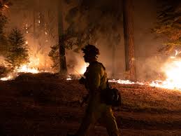 CapRadio Caldor Fire Investigation | Washoe County Air Quality | Back to  School Mental Health - capradio.org