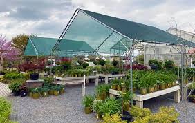 You'll also find out why plants are so important and how gardening can actually improve your mood. Your Local Lehigh Valley Garden Center Palmer Nursery