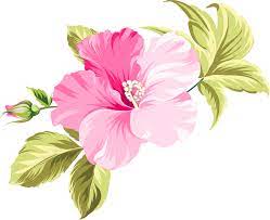 Flower Hawaii Clip Art Flower Png Download 800 653 Free Transparent Flower Png Download Clip Art Library
