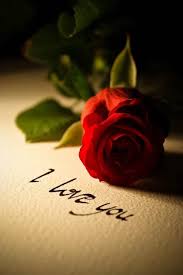 I Love You With Every Ounce Of My Being My Amazing Wife 3 Red Roses Love Rose Romance And Love
