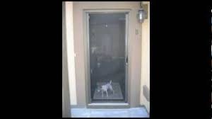 If a picture is worth a thousand words, then this video is worth 60,000 words per second. Roll Away Retractable Screen Doors Youtube