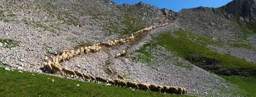 Severní makedonie (do roku 2019 makedonie, makedonsky северна македонија, severna makedonija), plným názvem republika severní makedonie (makedonsky република северна македонија, republika severna makedonija, albánsky republika e maqedonisë së veriut). Stity Hor Makedonie A Kosova Ck Kudrna