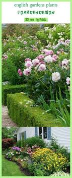 English Gardens Plants English Gardens Plants English Garden Plants Jard English Garden Gardens Jard Plants In 2020 English Garden Garden Plants Plants