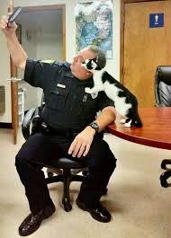 Make a bunch of random movements(not in any order or way that makes you explode, though.). 26 Animals That Can Make You Explode With Laughter