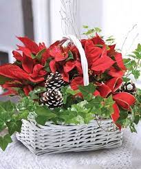 Poinsettia And Ivy Christmas Flowers Christmas Floral Arrangements Christmas Centerpieces