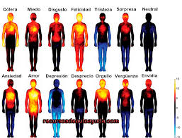 2 características de las emociones positivas. Asi Se Reflejan Las Emociones Positivas Y Negativas En El Cuerpo Recursos De Autoayuda