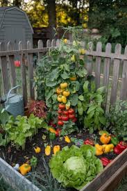 Why eat meat when you can this All Day🤔👁️💚💫🧘🏽‍♂️