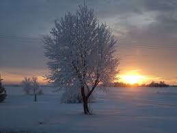 Traveling western nebraska, from scotsbluff to chadron via hwy 71 through crawford. Nebraska Winter Sunrise Farm Meets Fork
