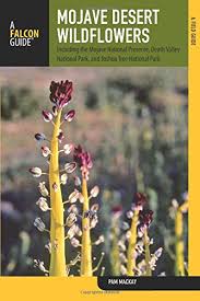Top 10 Wildflower Field Guides Of 2021 Best Reviews Guide The online guide provides photos and information about wildflowers from seedlings to mature plants—something unique to this particular guide—in order to help farmers identify young wildflowers. top 10 wildflower field guides of 2021