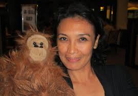 Palm Hill, 8th June 2014