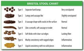 What Is The Color Of Your Poop Telling You Liver Doctor
