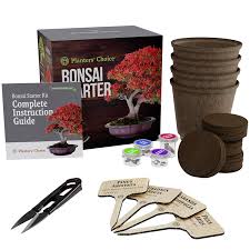 Root cutting seed country or region of origin: Planters 8217 Choice Bonsai Starter Kit