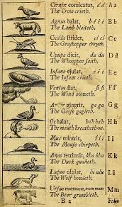 Pin By Andrew Jager On Book Design And Typography Picture Book Children S Picture Books Childrens Illustrations
