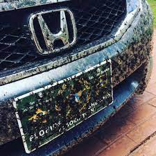 Insect splatter is highly acidic and will eat into the paint. What S The Best Way To Remove Bugs From Your Car