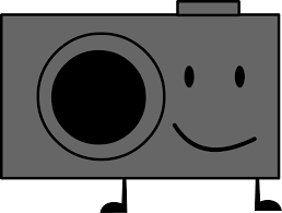 Modern home decor is distinguished by sophistication. Camera Battle For Dream Island Wiki Fandom