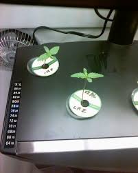 We found 1 manuals for free downloads: Ubernoob Aerogarden Lowryder Rollitup