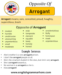 Opposite Of Arrogant Antonyms Of Arrogant Meaning And Example Sentences English Grammar Here