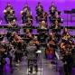 Symphony of the Americas - A Holiday Celebration event image